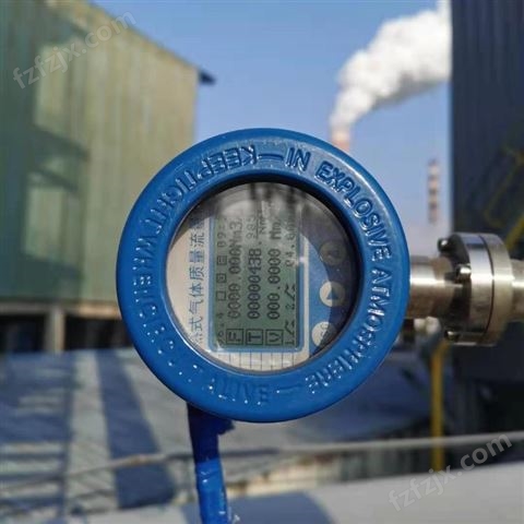 热式气体质量流量计专用仪表