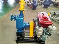 YD-ZW小型便捷式柴油机应急消防栓泵