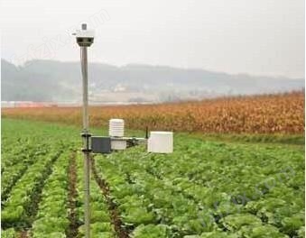 无线植物图像监控系统
