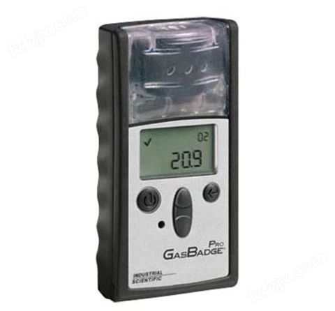 GB Pro 单一一氧化碳气体检测仪